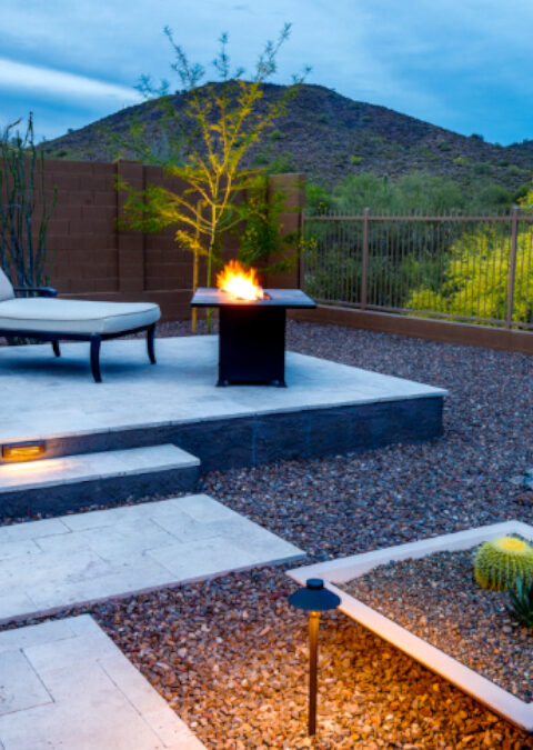 How to Have Color in your Yard in Arizona