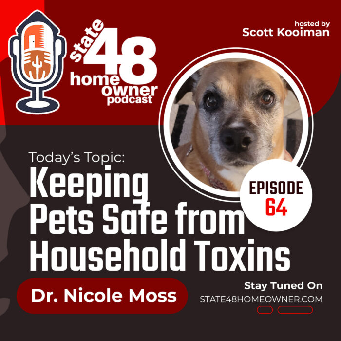 Keeping Pets Safe from Household Toxins