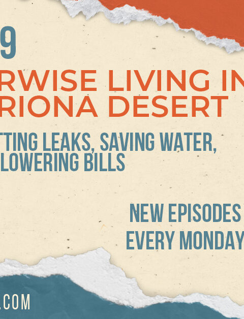 Water-Wise Living in the Arizona Desert: Spotting Leaks, Saving Water, and Lowering Bills