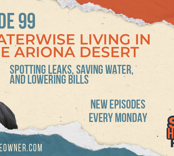 Water-Wise Living in the Arizona Desert: Spotting Leaks, Saving Water, and Lowering Bills