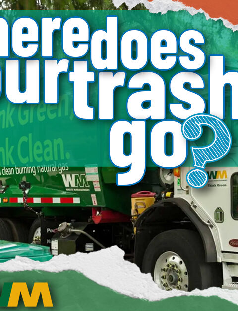 Where Does My Trash Go in Arizona?